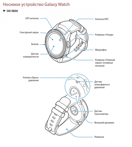 Motorola Moto 360 Smartwatch Review - NotebookCheck.net Reviews