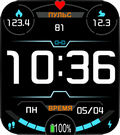 Fitcloud pro