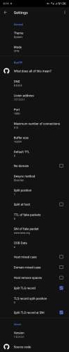 ByeDPI [Android] - 4PDA